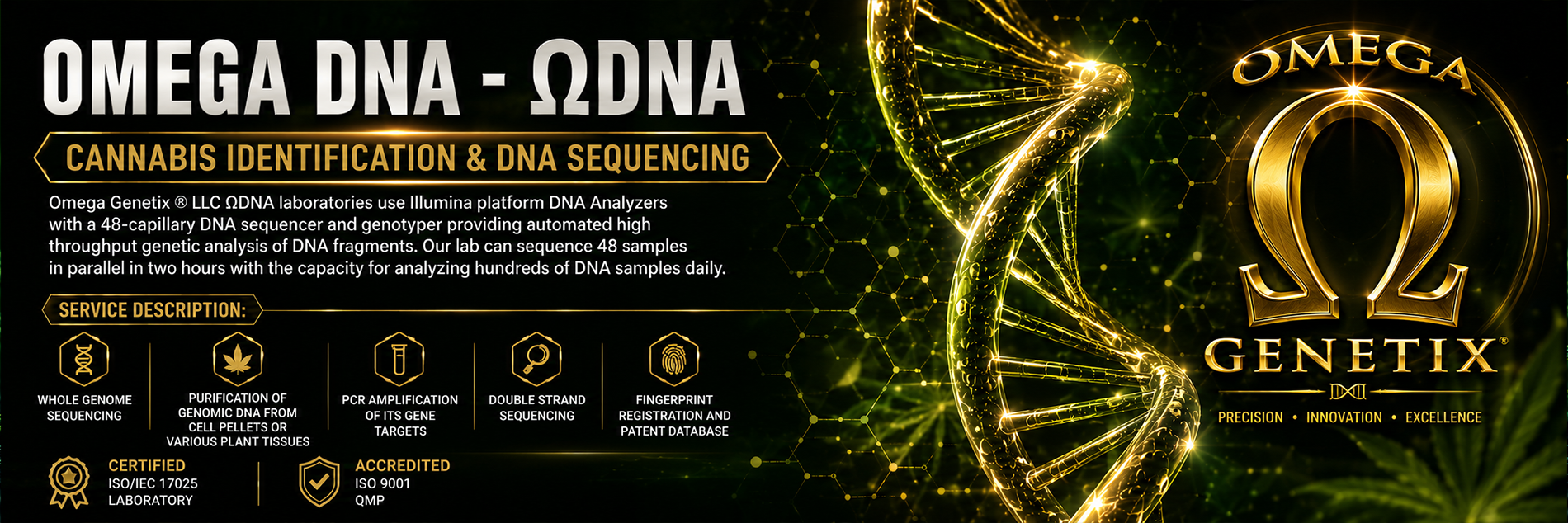 DNA Image